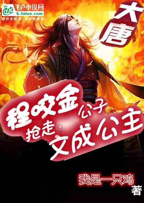 迷你汽车记忆卡